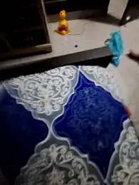 Cute_plak01 stripchat stream image