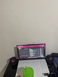 gatitargentina2025 stripchat stream image