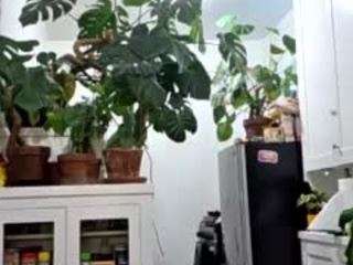 sexysagittarius1212 camsoda stream image