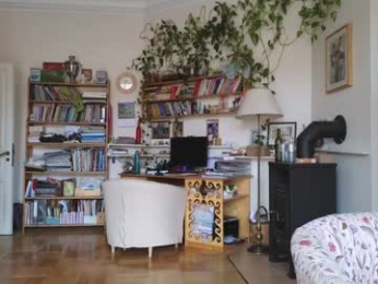 eli_sun chaturbate stream image