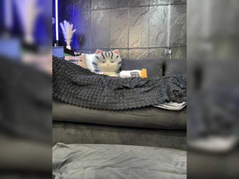 MagicMelody bongacams stream image