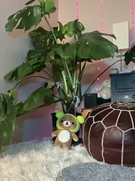 gorexchid stripchat stream image