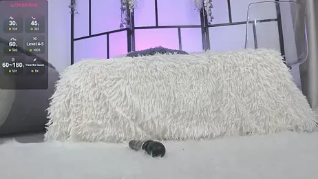 Xenomy stripchat stream image