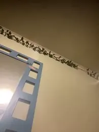 1Zoey101 stripchat stream image