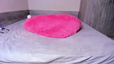 jialisa stripchat stream image