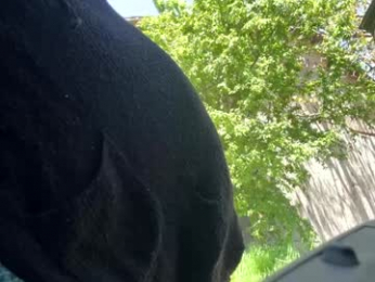 lettali chaturbate stream image