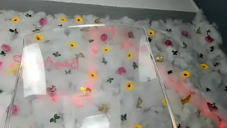 BabyAylin stripchat stream image