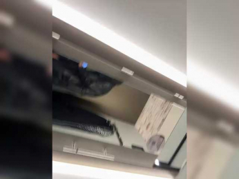 GAVKA_ bongacams stream image