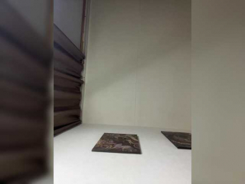 MaryModel bongacams stream image