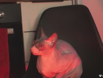 agent_blonde chaturbate stream image