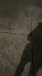 royalgirls_x stripchat stream image