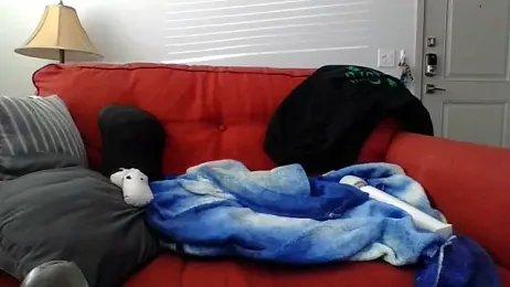 cinnaminnie stripchat stream image