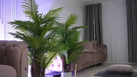 Abbela_White stripchat stream image