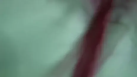 HoneyHaven_ stripchat stream image