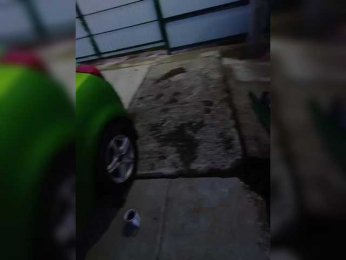 Angelia22 bongacams stream image