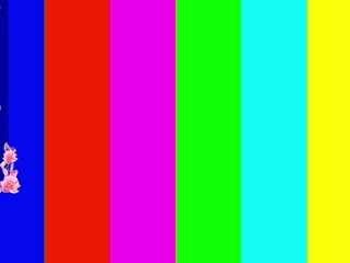 leilagladish camsoda stream image