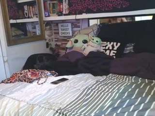 lushdiamondz camsoda stream image