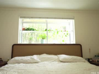 ksensual chaturbate stream image