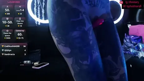 TyphoidMary stripchat stream image