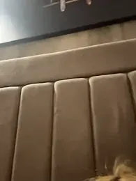 tinker_exotic_1 stripchat stream image