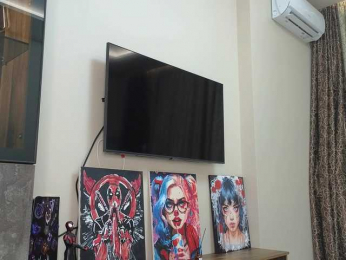 dolly-ll bongacams stream image