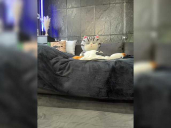 MagicMelody bongacams stream image