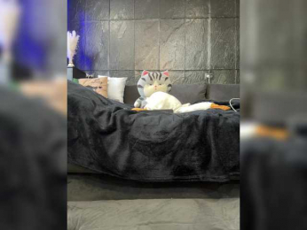 MagicMelody bongacams stream image