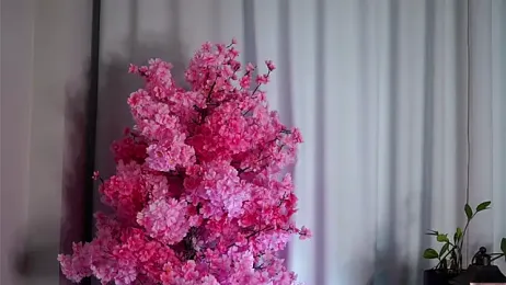 EdlinHargus stripchat stream image