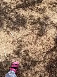 i_fatme stripchat stream image